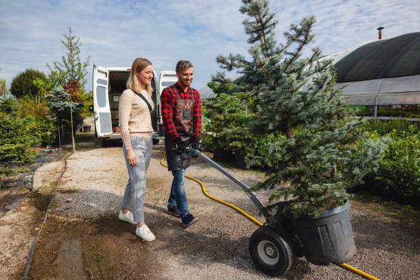 Best Hedge Trimming  in USA